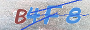 キャプチャ画像