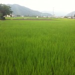 真庭市 ホテルの脇